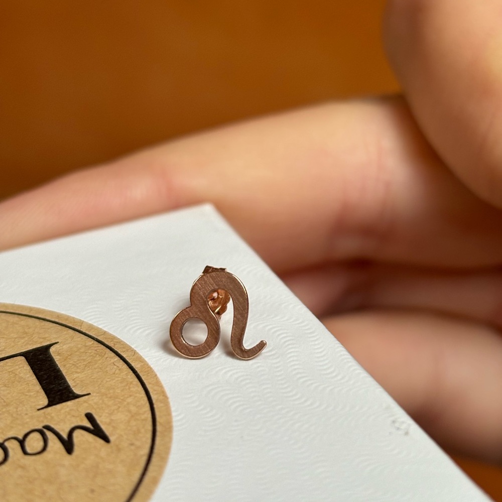 Leo earring 14k rose gold filled